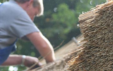 professional Hendomen thatchers