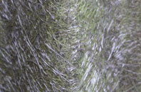 Hendomen fibreglass roof work